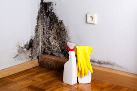  Pleasant Hill, PA Mold Prevention & Removal Pros